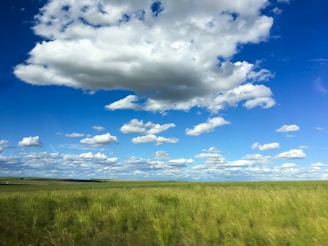 A peaceful stretch of raw, open land in Minnesota under a clear blue sky, showcasing the natural beauty of rural property.
