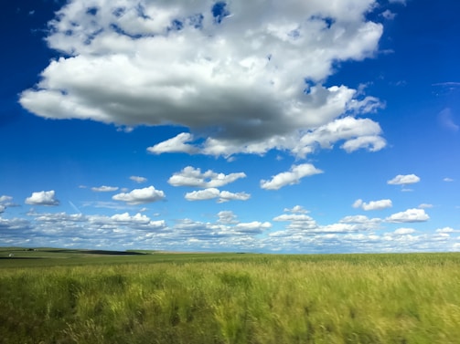 A peaceful stretch of raw, open land in Minnesota under a clear blue sky, showcasing the natural beauty of rural property.
