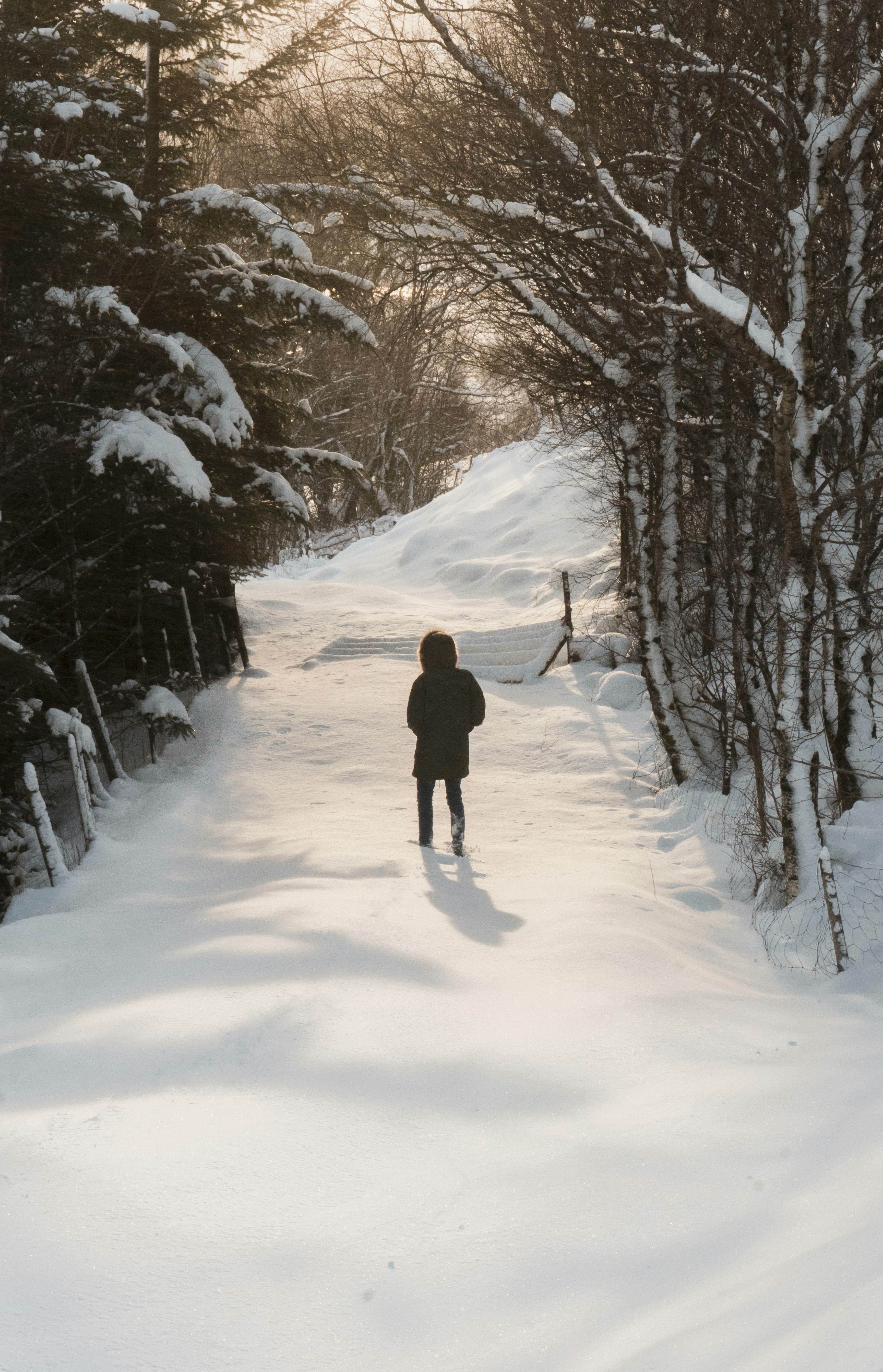 Photo by magnetraeland