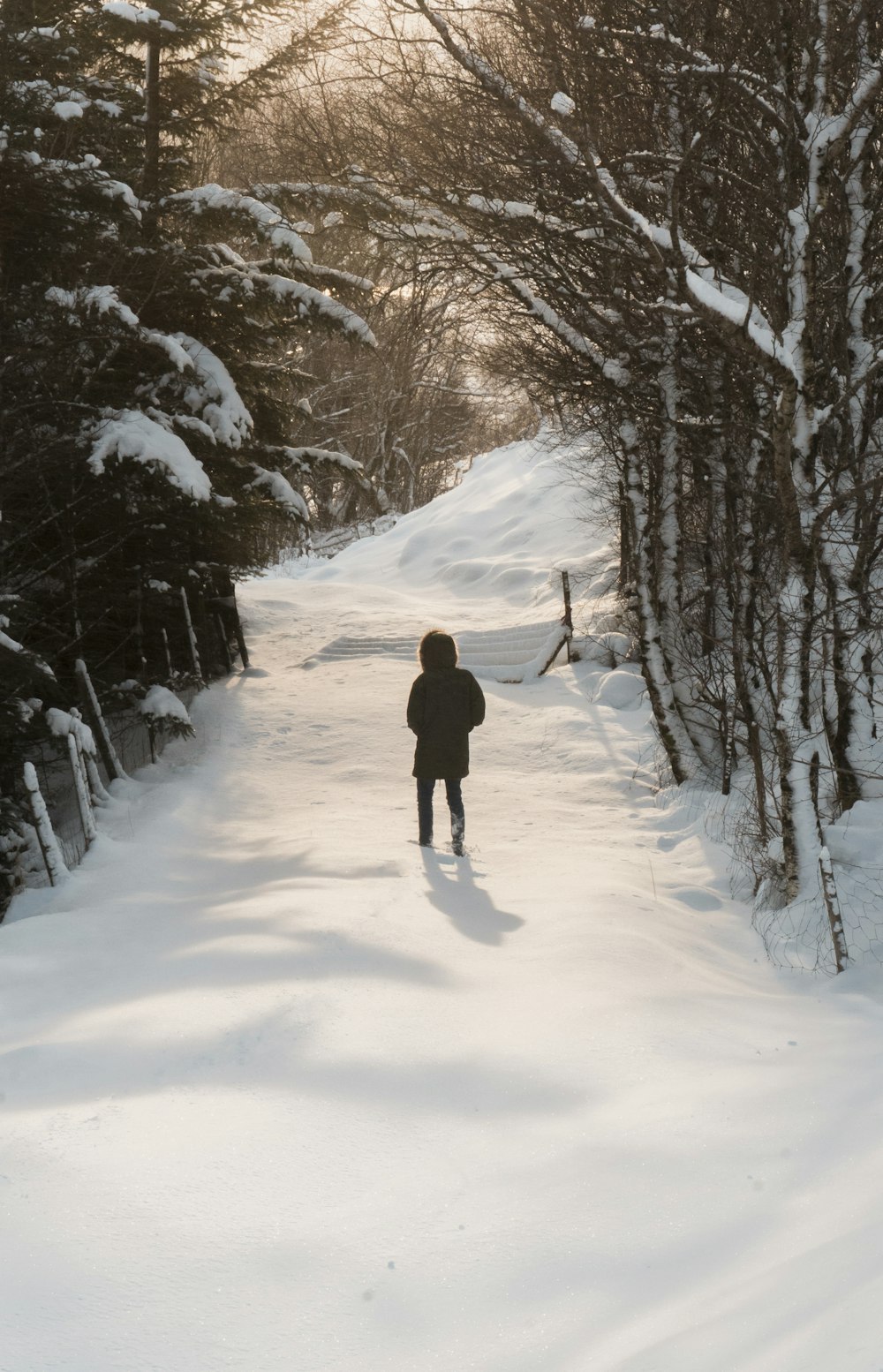 person waling on snow field surrounded by trees