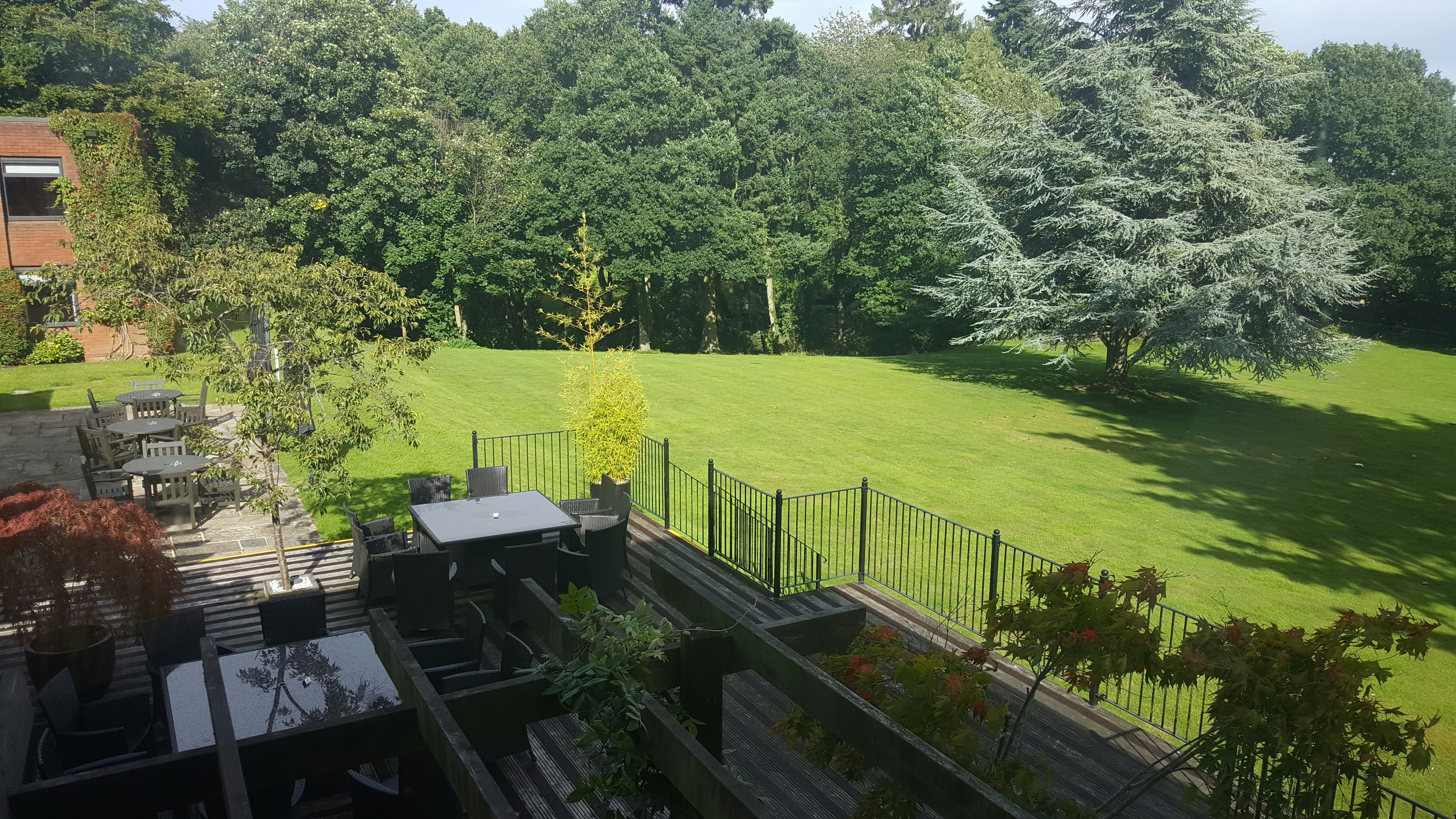 Backyard Oasis Starter Set