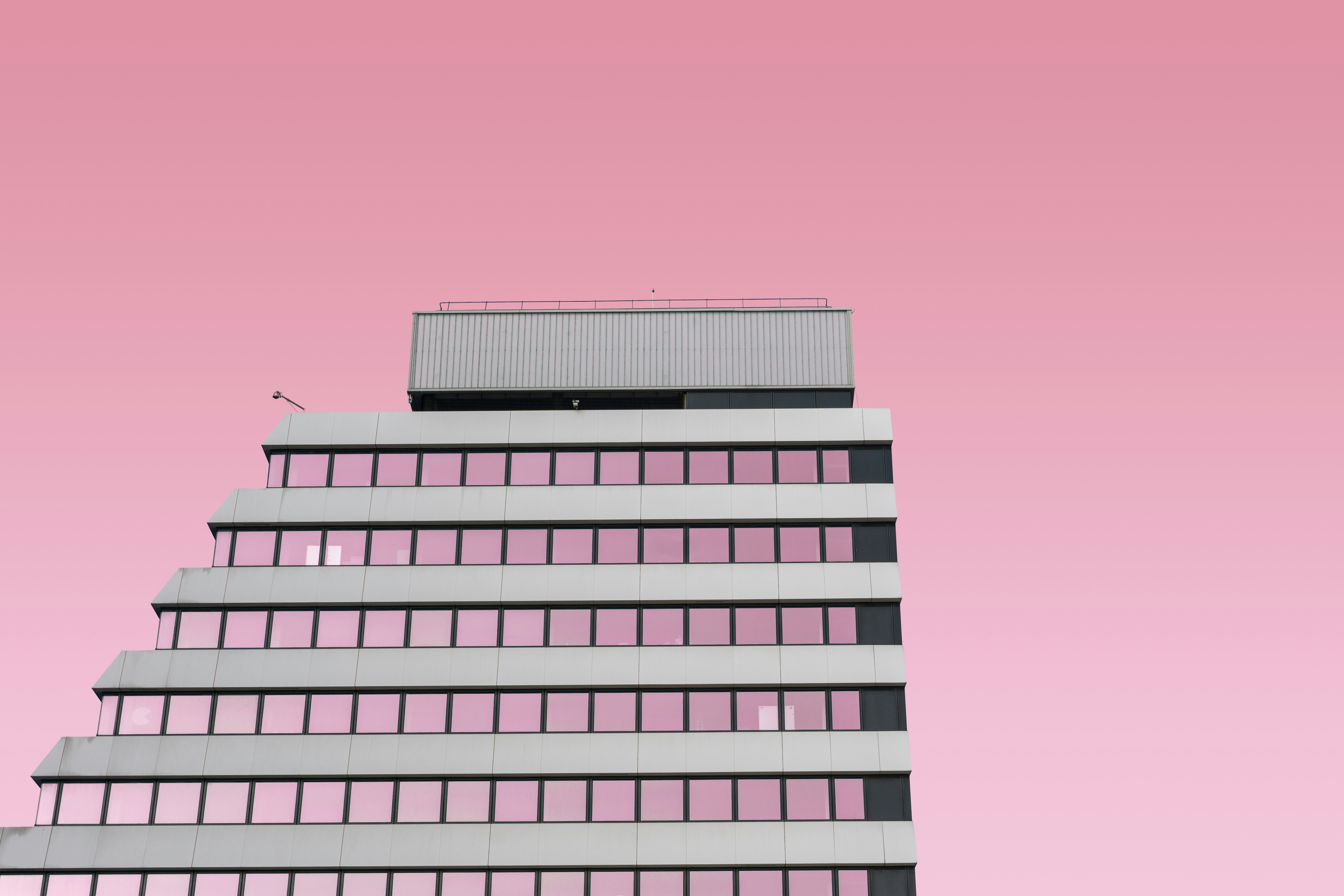 Pink Minimal