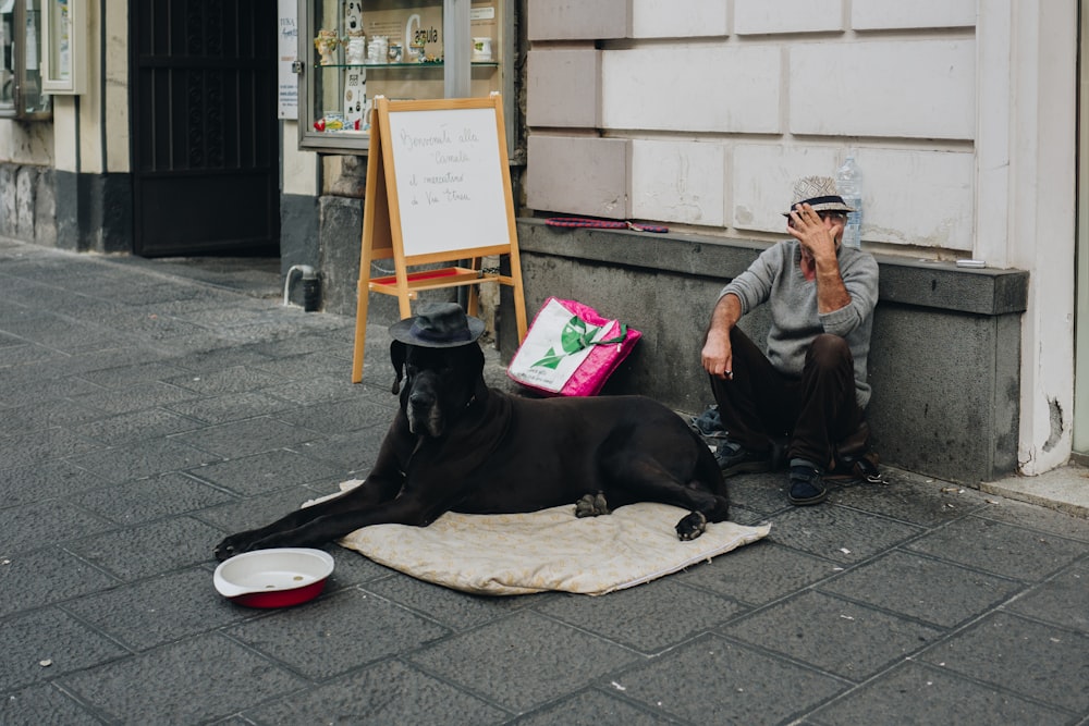 man sitting beside the dog