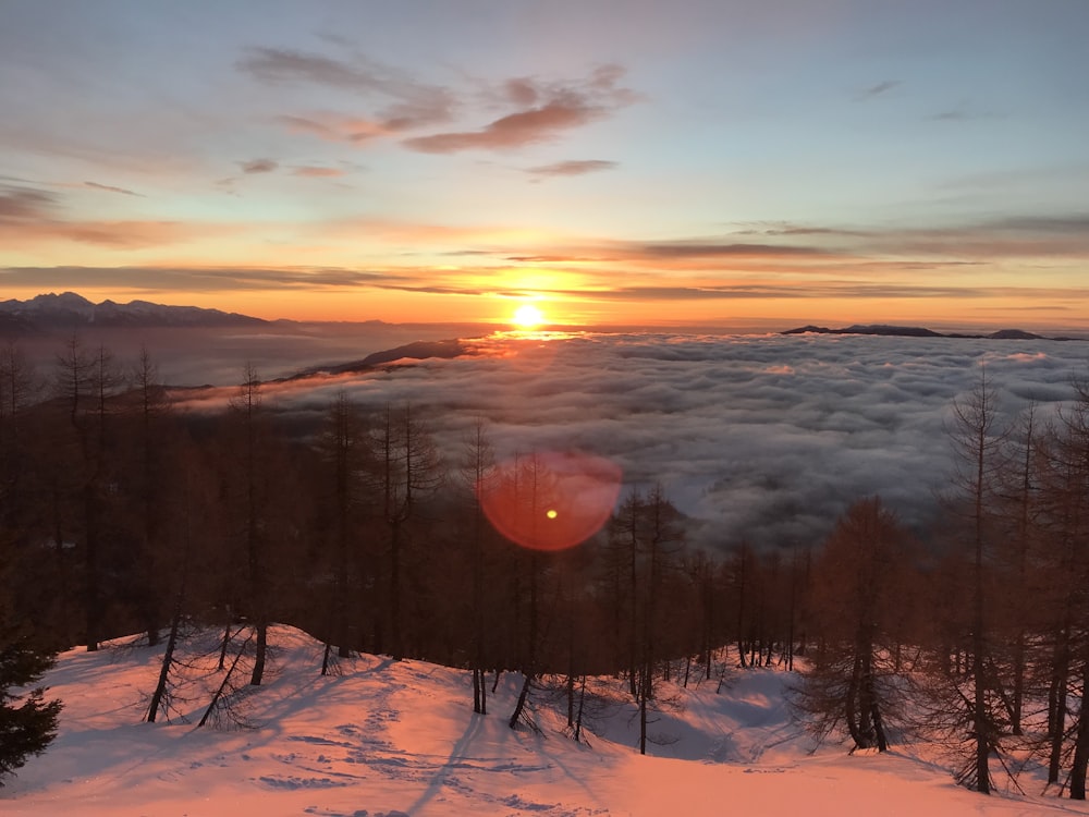 Silhouettenfoto des Sonnenuntergangs