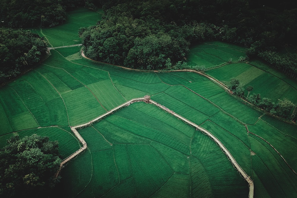 birds eye view of field