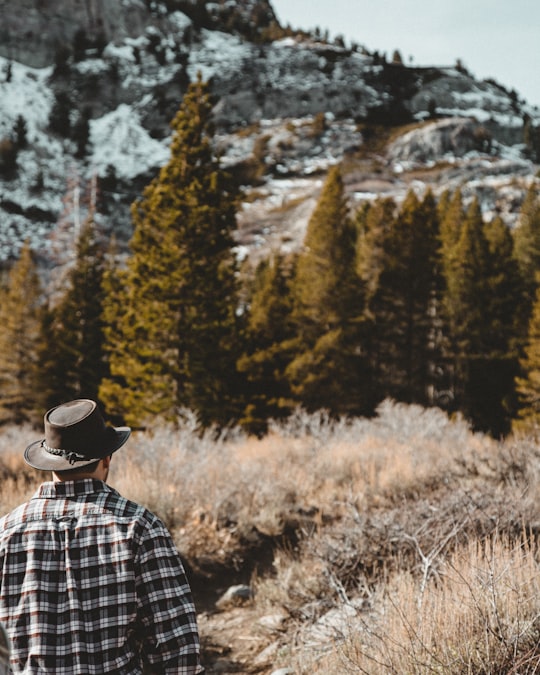 person wearing brown hat standing on forest during day time in Mammoth Lakes United States