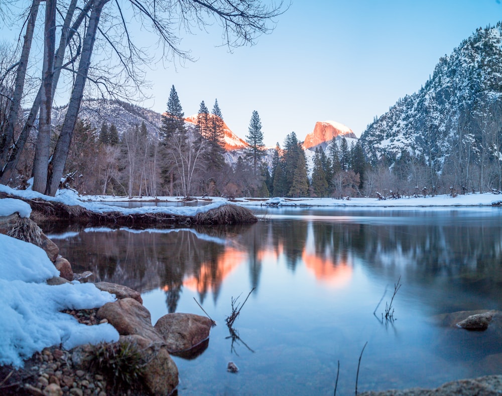 landscape shot of body of water