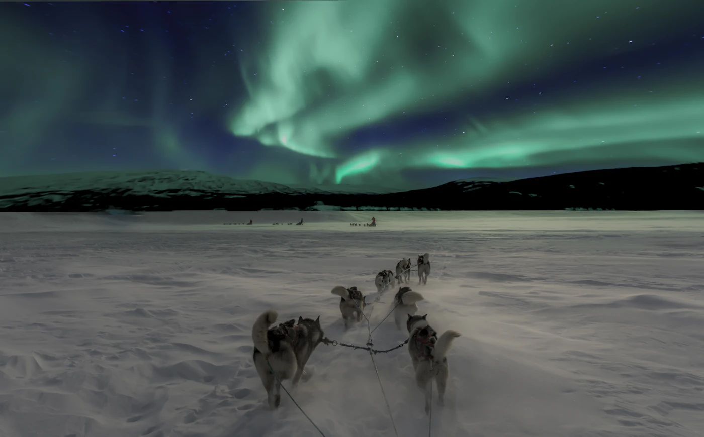 A dog-sled team under the northern lights