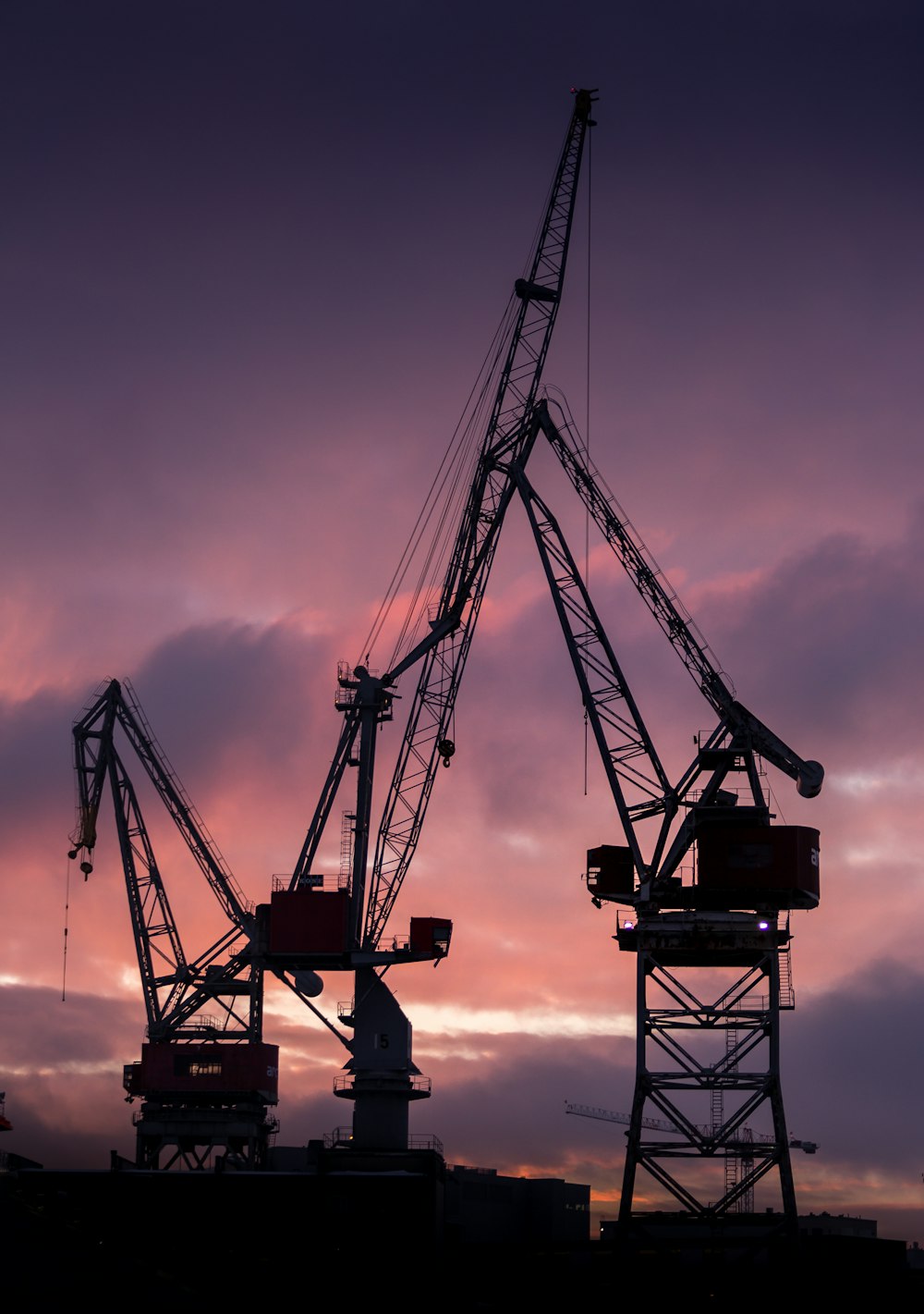 silhouette of crane