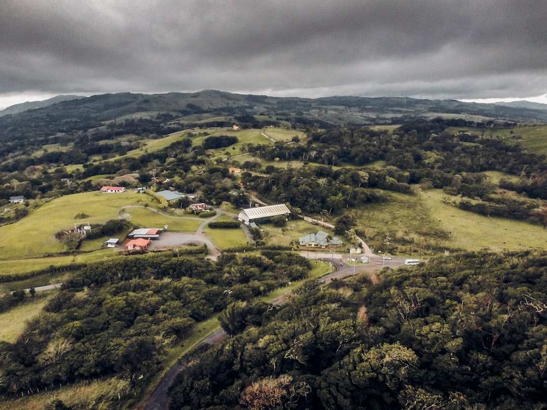 aerial photo of houses and trees