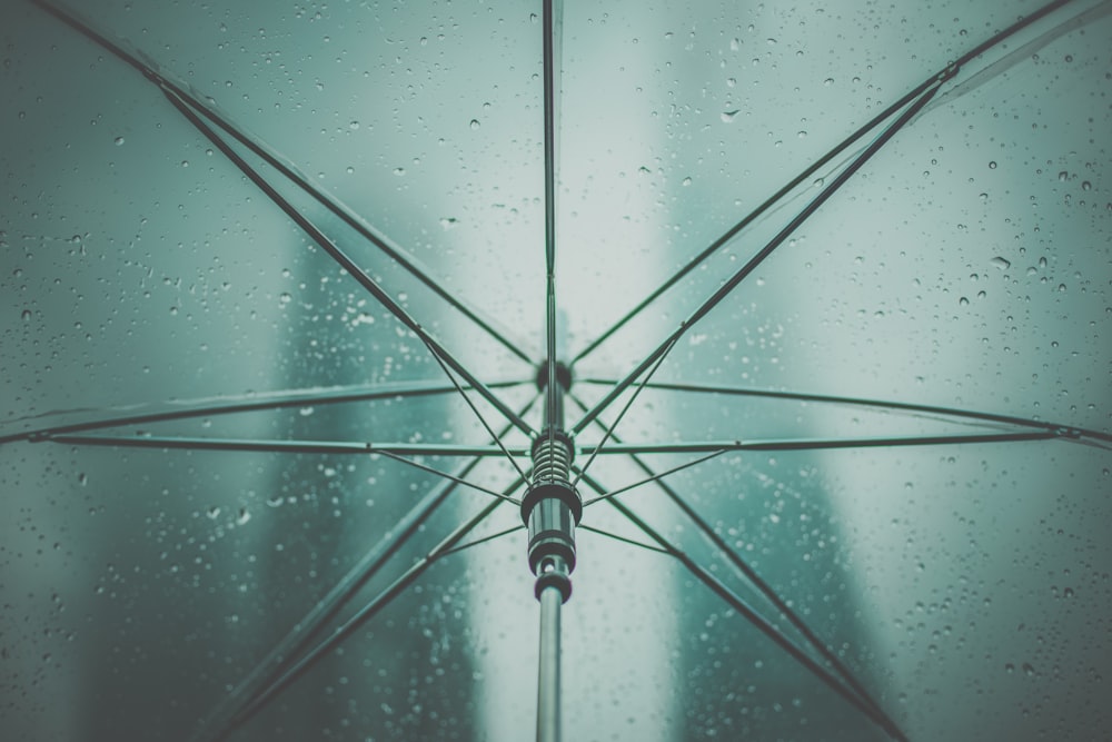 gray umbrella with rain drops