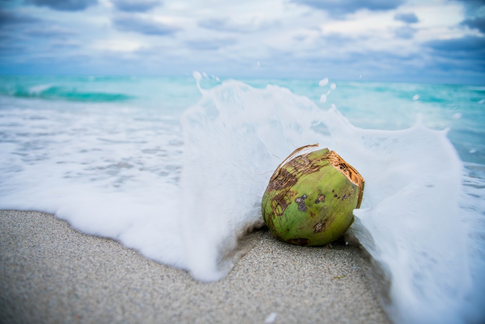 coconut on beach with waves