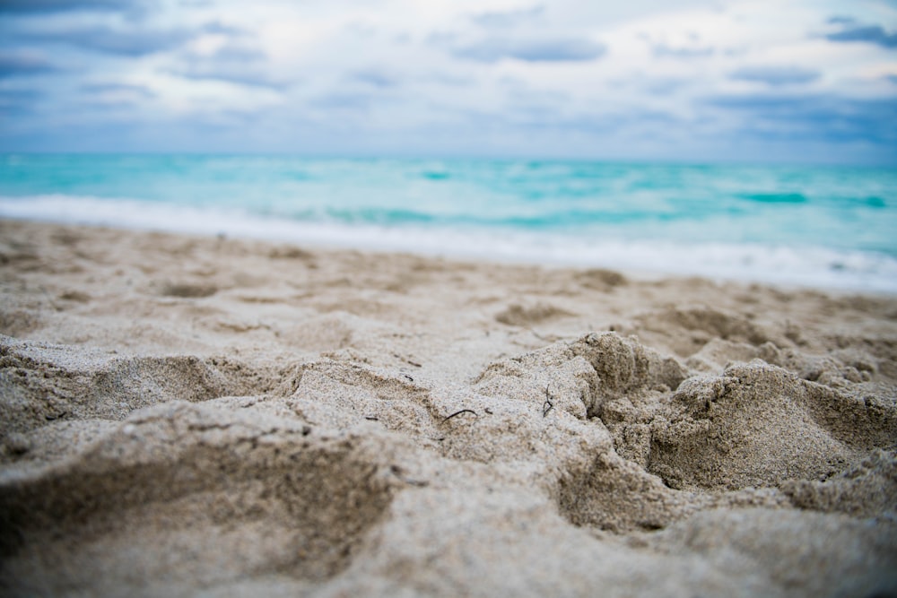 close up photography of footprints on shore