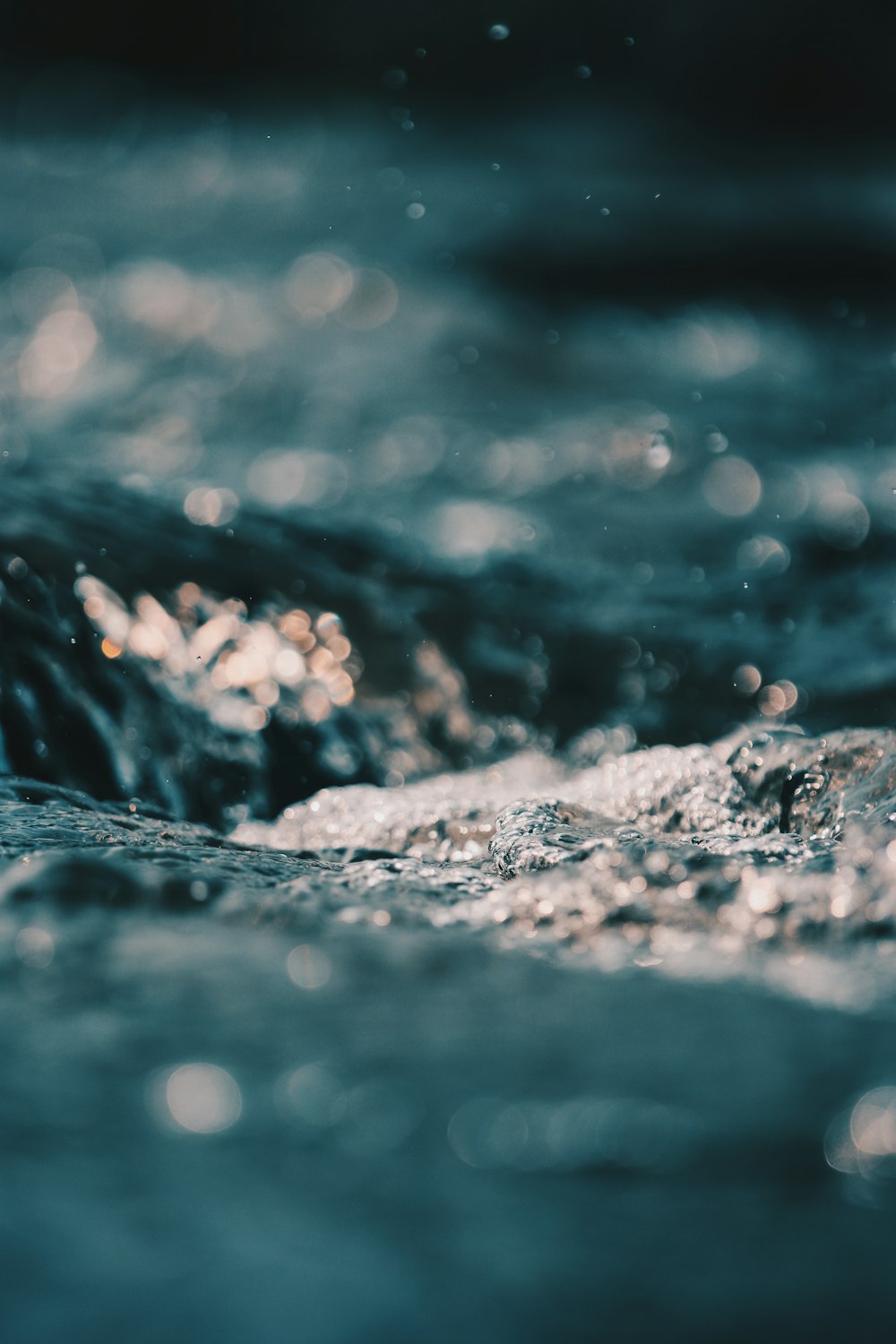 macro photography of body of water