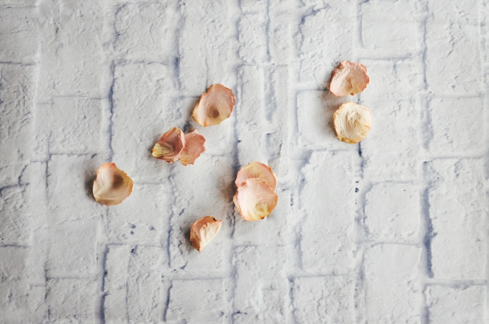 nine withered rose petals on white surface