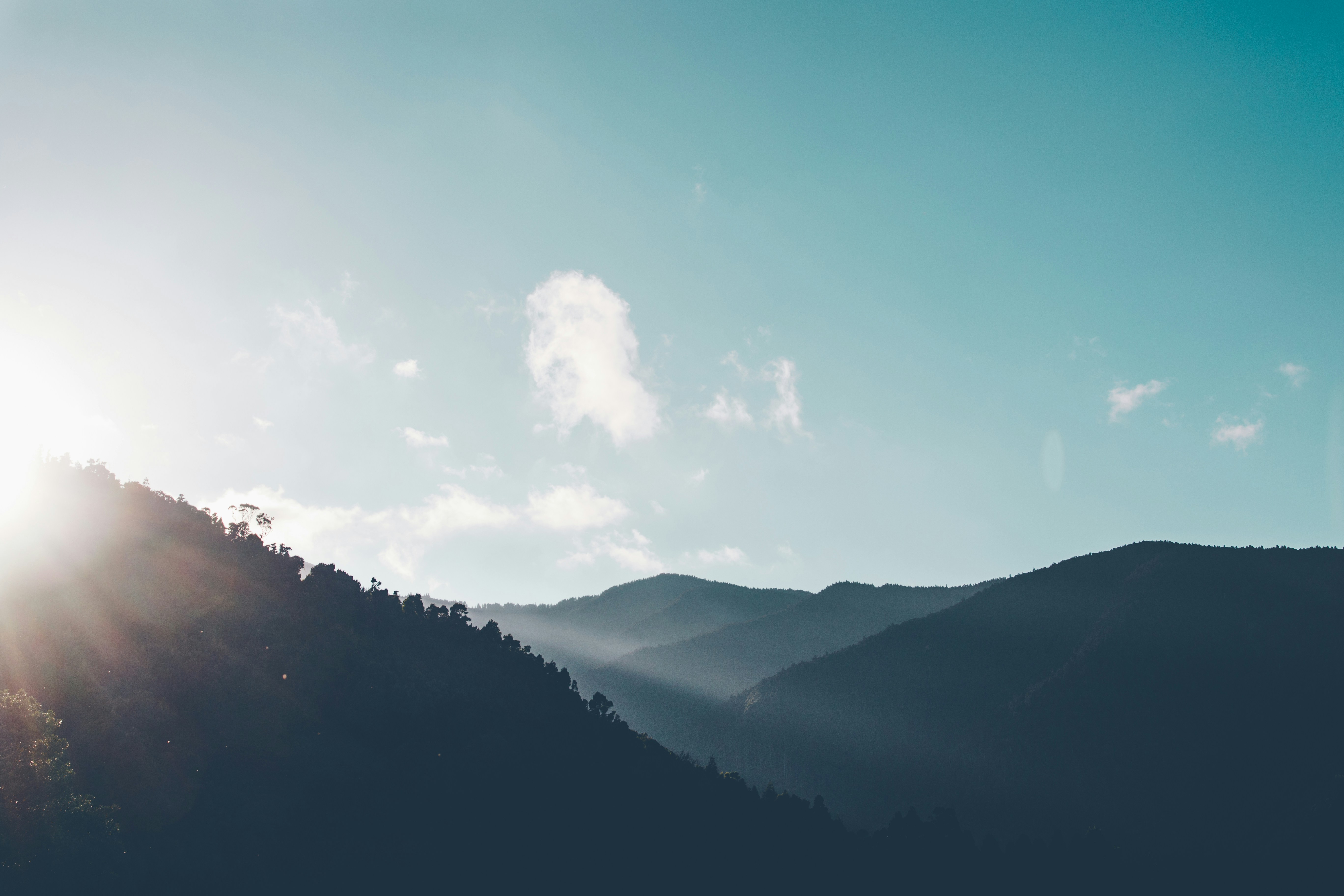 Photo by Rodrigo Gonçalves on Unsplash