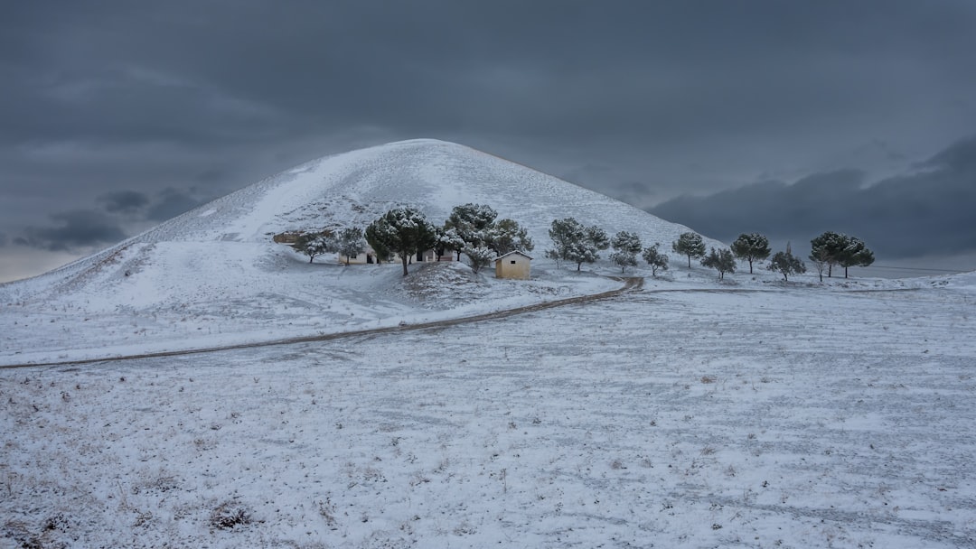 mountain covered with snow with trees on the side