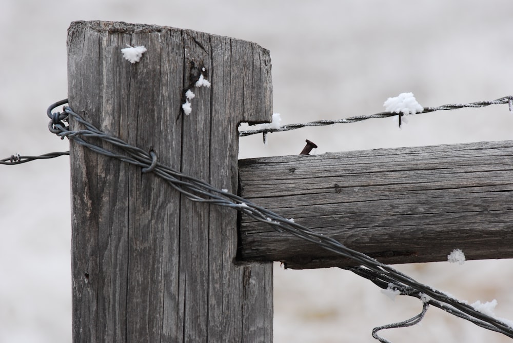 grayscale photo of wooden post with barbed wires