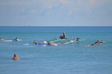 A group of surfers is paddling and sitting on their surfboards in the ocean, with gentle waves surrounding them. The water is a vibrant blue, and the sky is clear with a hint of clouds on the horizon.