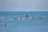 Group of surfers paddling out together in crystal-clear blue water under a bright sky.