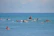 Group of surfers paddling out together in crystal-clear blue water under a bright sky.