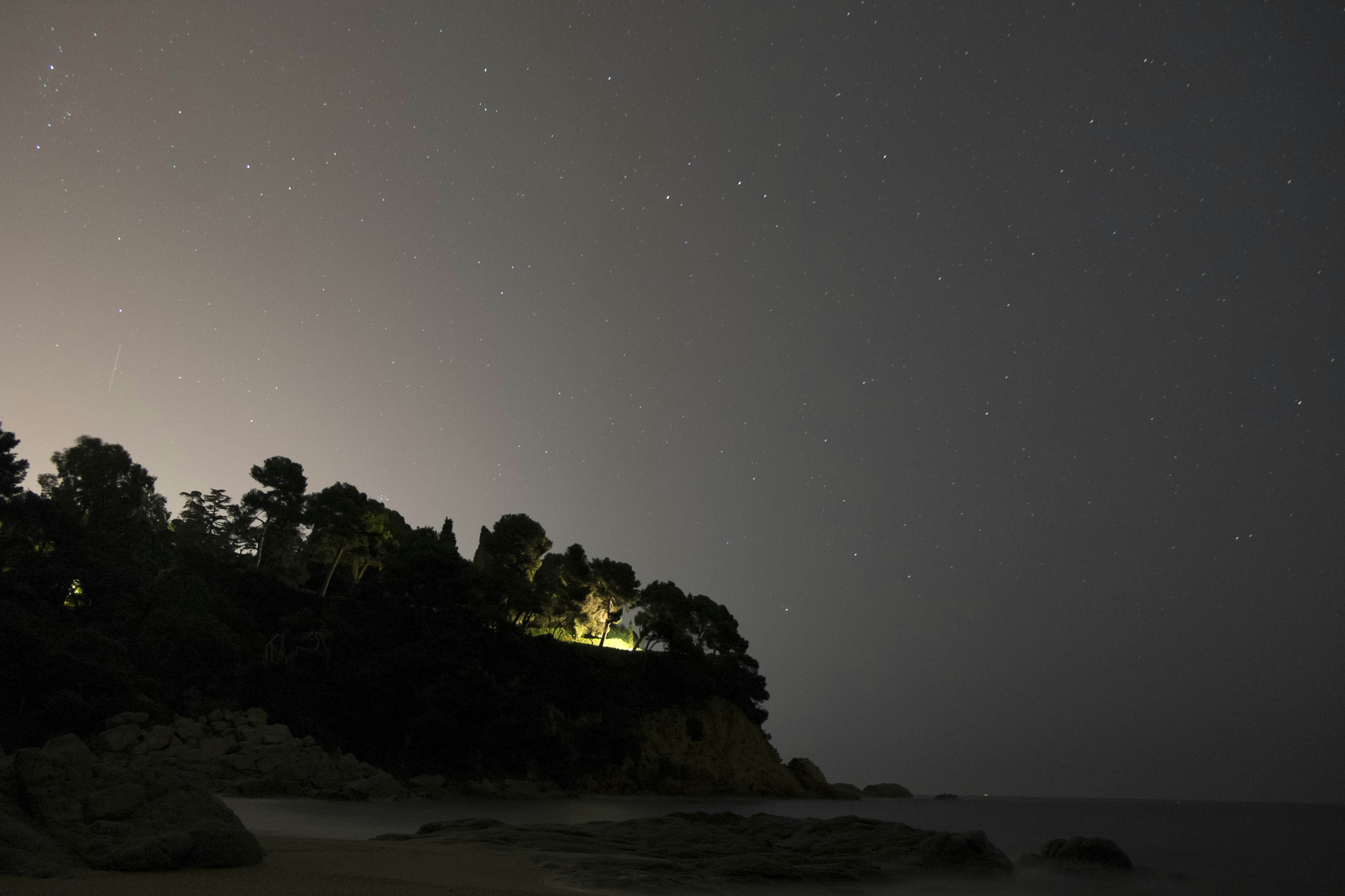 silhouette photograph of trees under starry night sky