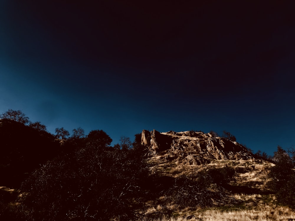 mountain with tree under blue sky