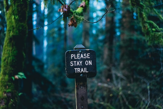 please stay on trail signage on forest in Crescent City United States