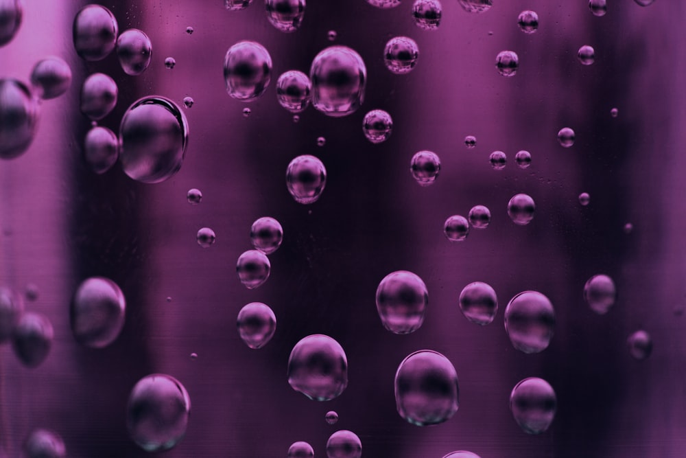 burbujas púrpuras en líquido