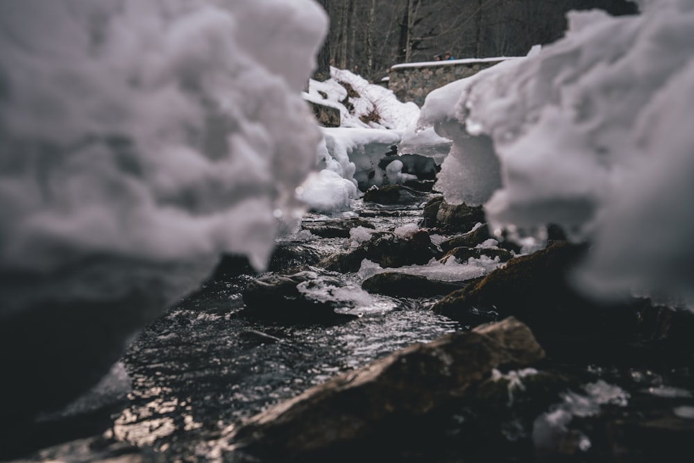 river coated with snow