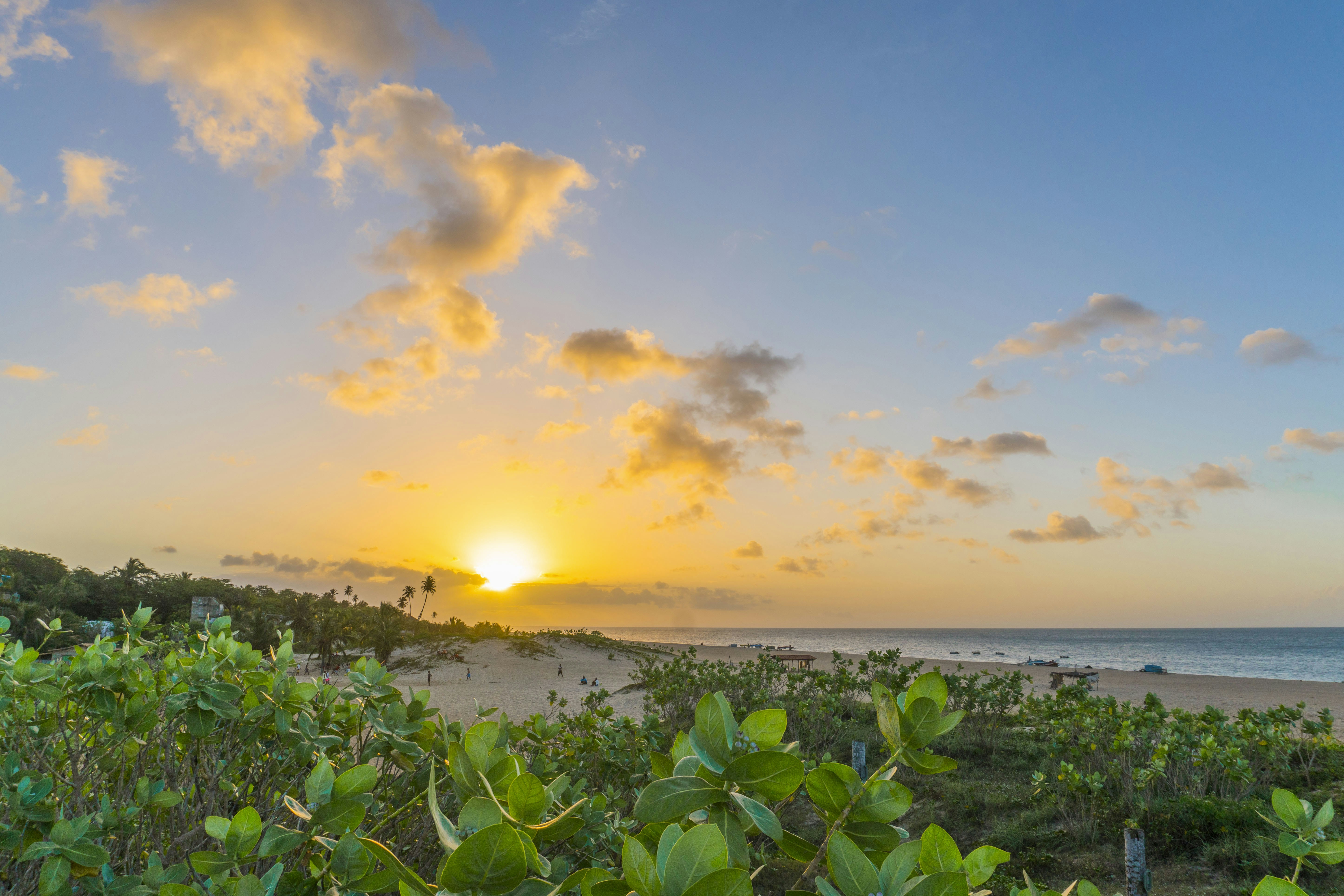 Photo by justinoneto