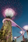 purple tree light Singapore landmark