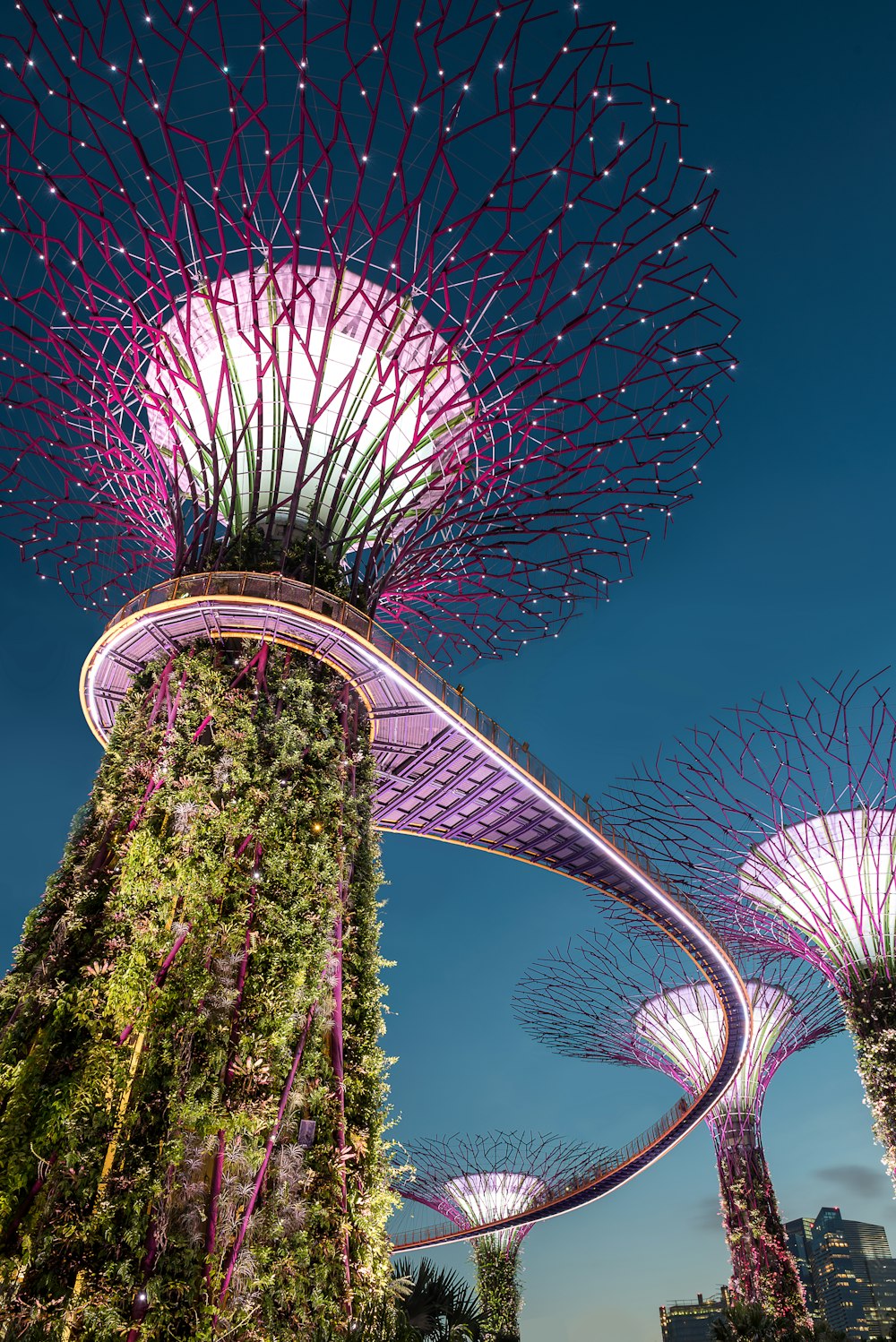 보라색 나무 빛 싱가포르 랜드마크