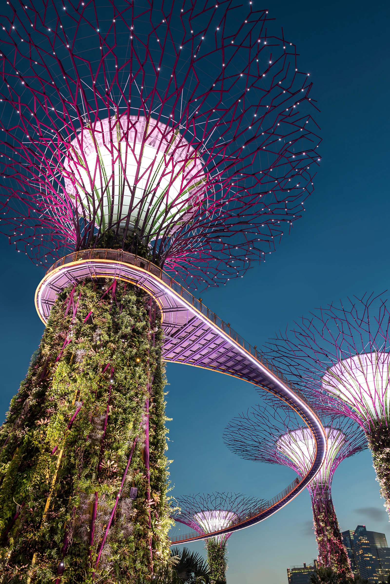 The Supertree Grove at Gardens by the Bay in Singapore