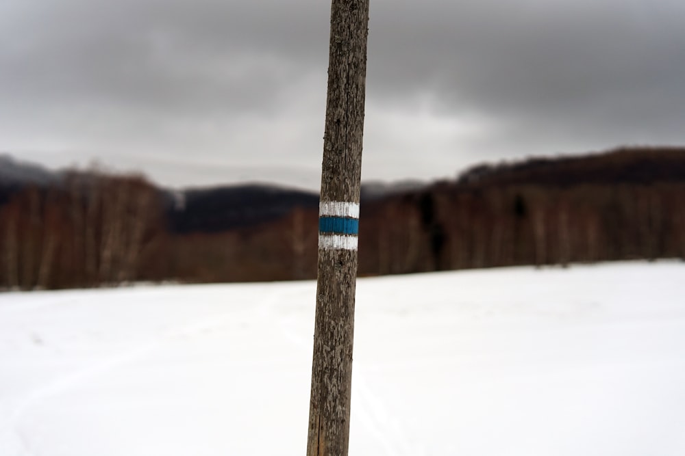 focused photo of a brown and white stick