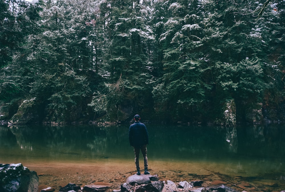 uomo in piedi sulla roccia di fronte allo specchio d'acqua circondato da alberi