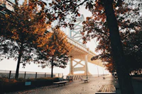 Best Pet-Friendly Hotels and Stays in Philadelphia for Travelers With Furry Companions