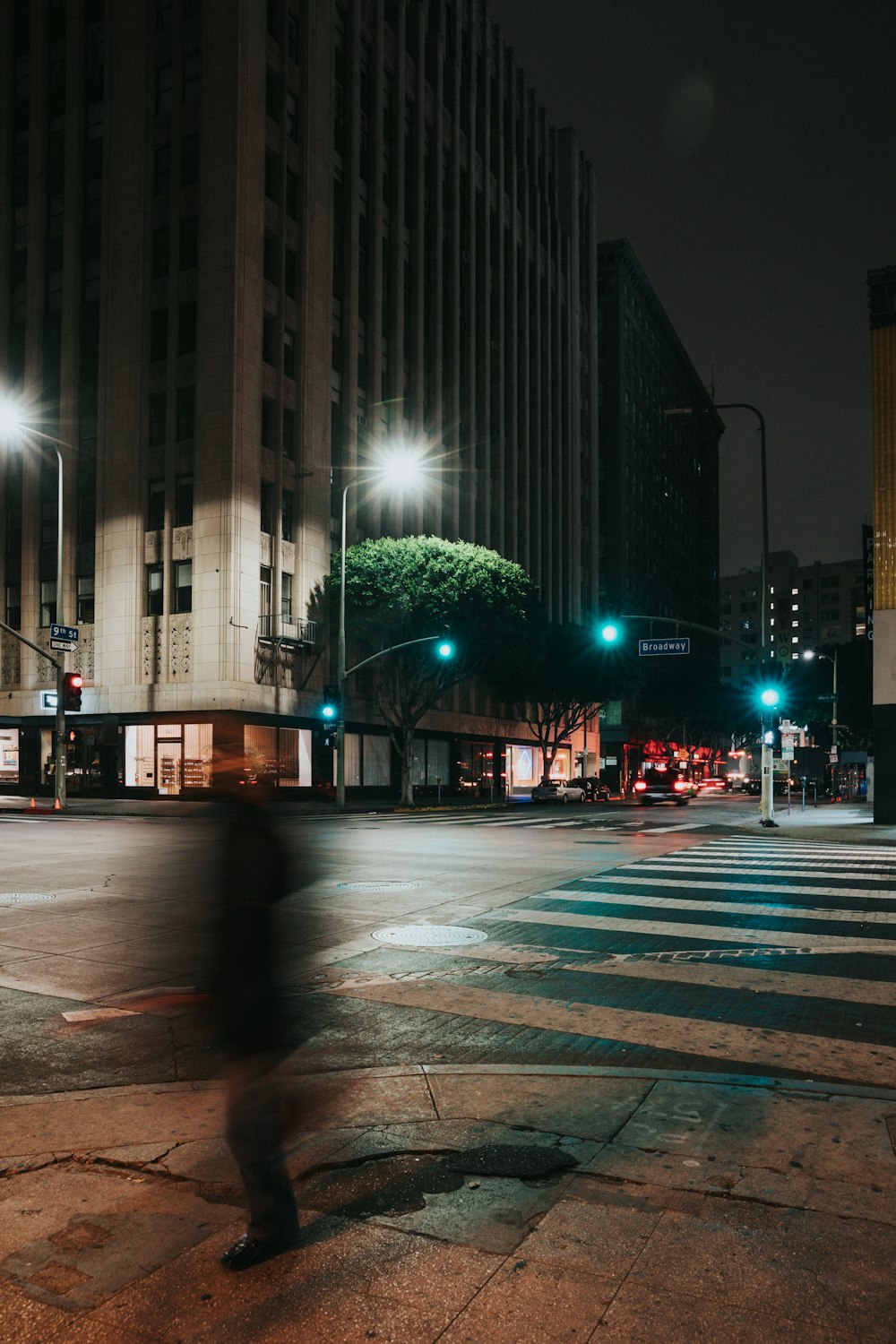 landscape photo of pedestrian lane beside building