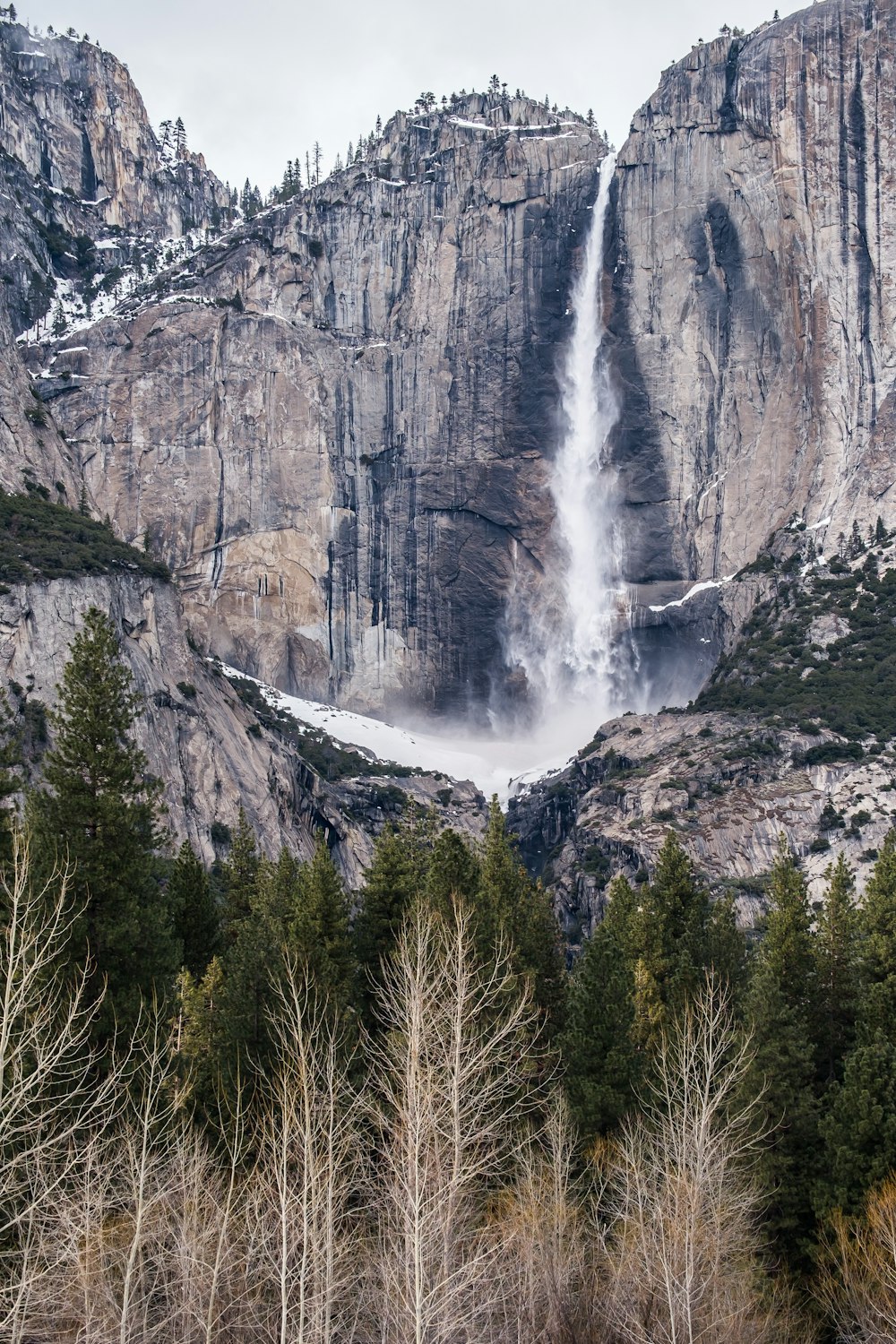 Wasserfall in der Nähe eines Baumes unter Cloudysky