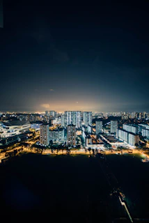 An atmospheric shot of a city skyline at night with glowing lights