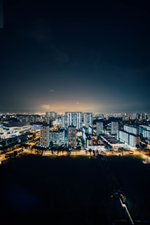 An artistic shot of a city skyline at night with glowing lights.