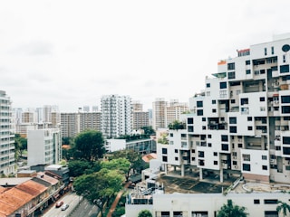 A vibrant cityscape with diverse apartment buildings symbolizing a well-managed urban society.