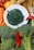 A variety of fresh fruits and vegetables are arranged around a white plate filled with green dried spirulina. The assortment includes bananas, carrots, cherry tomatoes, a lemon, a red chili pepper, and broccoli.
