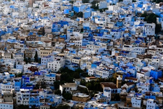 aerial view of houses and trees during daytime
