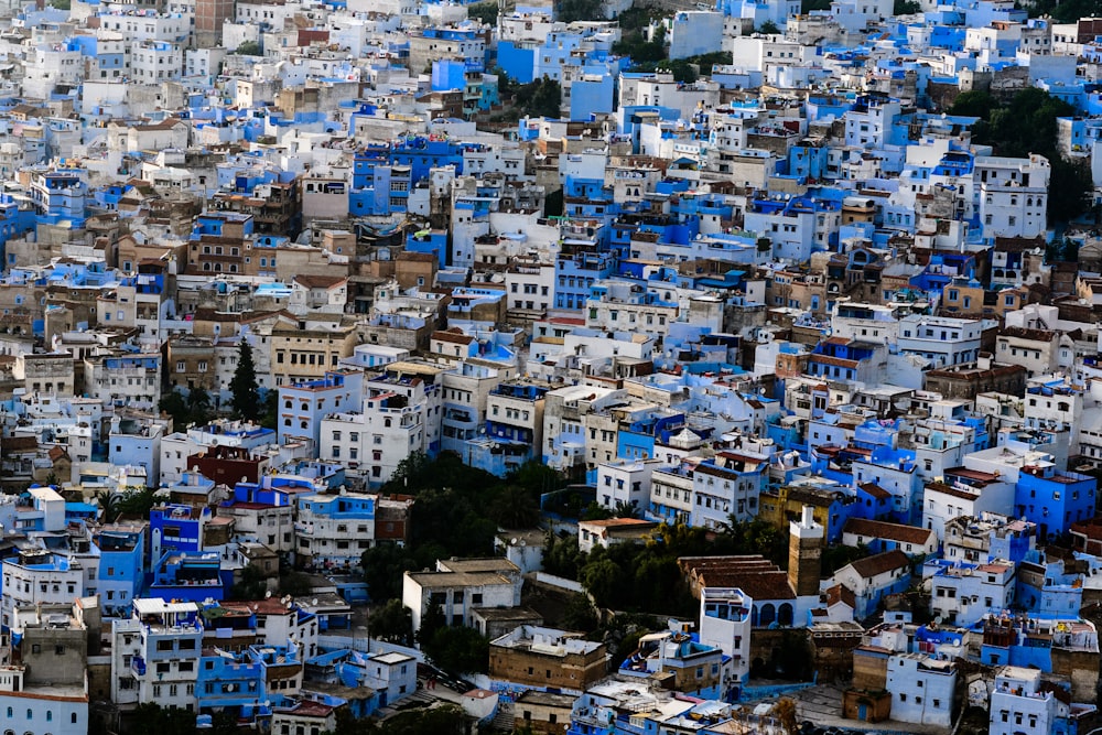 aerial view of houses and trees during daytime