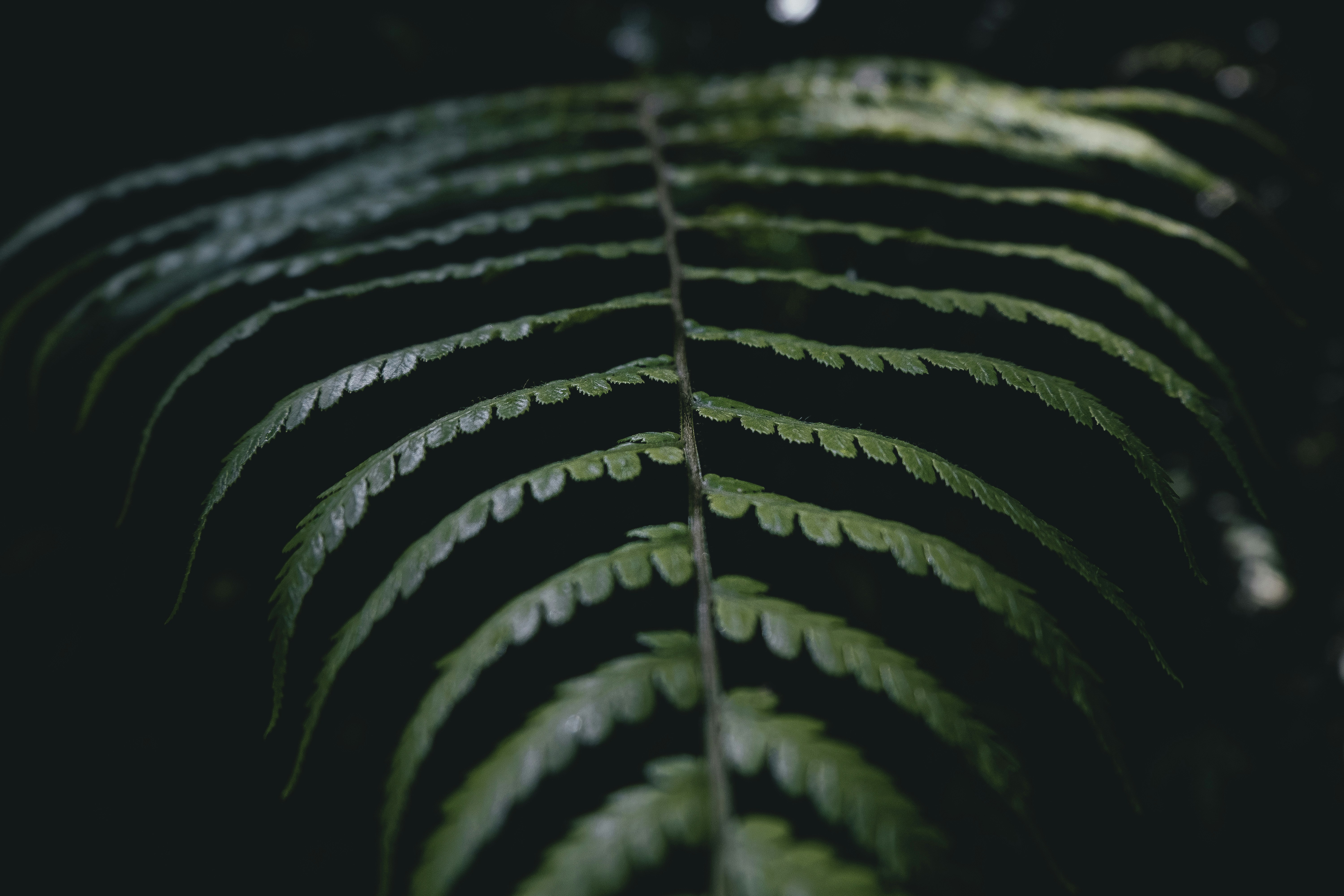 Photo by yoal_desurmont