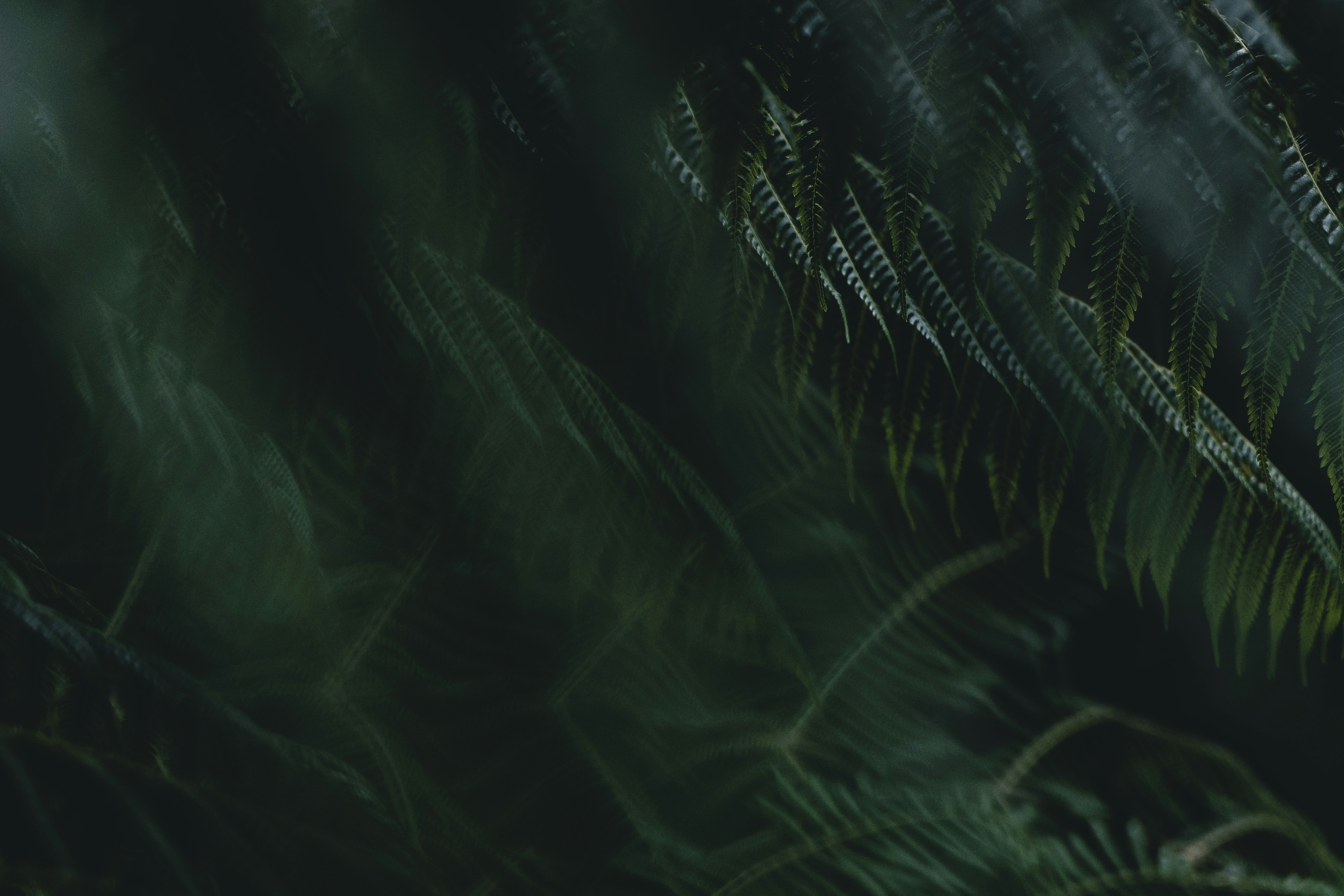 Photo by yoal_desurmont