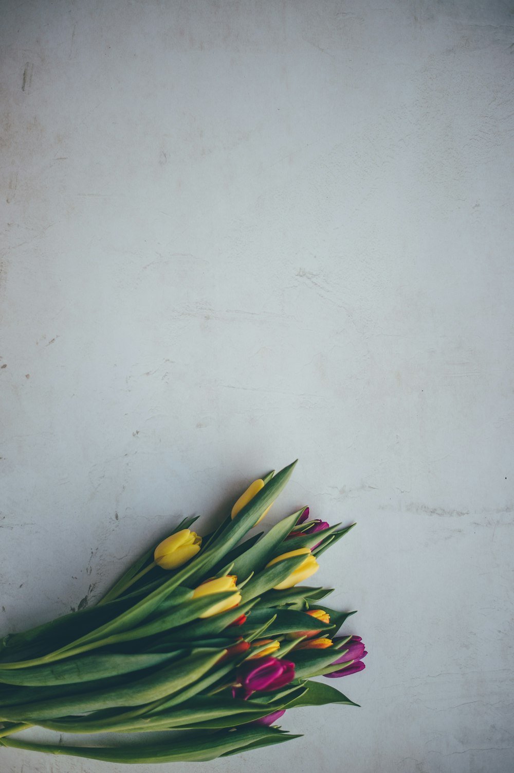 green, yellow, and purple flowers