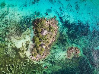 island on body of water