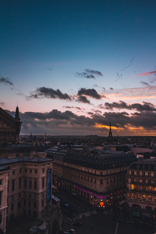 aerial photography of city scapes during blue hour in Palais Garnier France